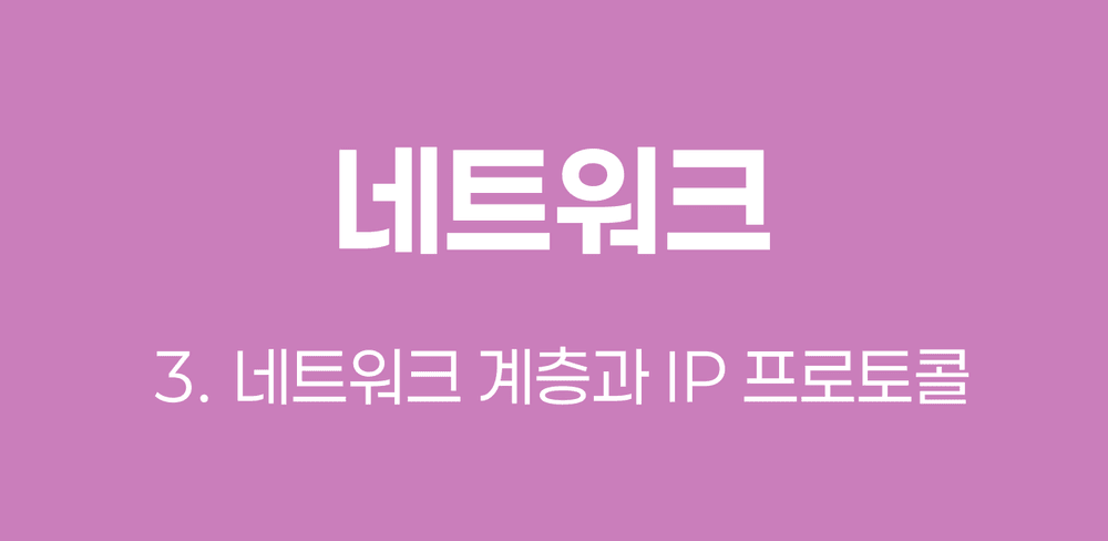 [네트워크] 네트워크 계층과 IP 프로토콜